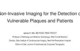 Non-Invasive Imaging for the Detection of Vulnerable Plaques and Patients