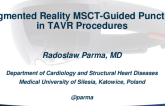 Featured Technological Trends - Fascinating Lecture: Augmented Reality MSCT-Guided Puncture in TAVR Procedures