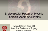 Endovascular Repair of Mycotic Aneurysms of the Thoracic Aorta