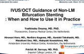 IVUS/OCT Guidance of Non-LM Bifurcation Stenting: When and How to Use it in Practice