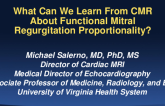 What Can We Learn From MRI About FMR Proportionality?
