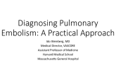 Diagnosing Pulmonary Embolism: A Practical Approach