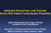 Other SHD Technologies - A Dedicated Paravalvular Leak-Occluder Device With Patient Customization Possibility
