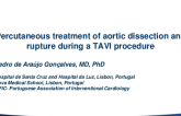 Portugal Presents: Percutaneous Treatment of Aortic Dissection and Rupture During a Transcatheter Aortic Valve Implantation Procedure