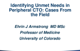 Identifying Unmet Needs in Peripheral CTO: Cases From the Field