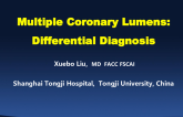 Multiple Coronary Lumens: Differential Diagnosis