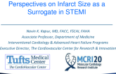 Perspectives on Infarct Size as a Surrogate in STEMI