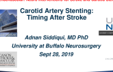 Carotid Artery Stenting: Timing After Stroke