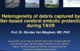 TCT 23: Heterogeneity of Debris Captured by Cerebral Embolic Protection Filters During Transcatheter Aortic Valve Replacement With Different Transcatheter Heart Valves