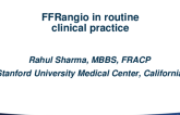 FFRangio in Routine Clinical Practice – US Experience of First 500 Cases