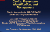 Perforation Into a Ventricular Cavity: Prevention, Identification, and Management