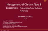 Technological and Technical Advances in Management of Chronic Type B Aortic Dissection
