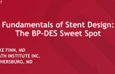 Fundamentals of Stent Design: The BP-DES Sweet Spot