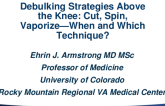 Debulking Strategies Above the Knee: Cut, Spin, Vaporize — When and Which Technique?