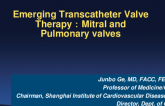 Session I: Innovation and Practice in Structural Heart Intervention - Emerging Transcatheter Valve Therapies: Mitral and Pulmonary Valves