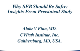Why SEB Should Be Safer: Insights From Preclinical Study
