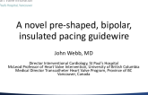 Innovation Gone Wild - A Novel Pre-Shaped LV Pacing Guidewire for TAVR