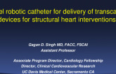 Featured Technological Trends - A Novel Robotic Catheter for Precise and Reproducible Delivery of Transcatheter Devices for Structural Heart Interventions