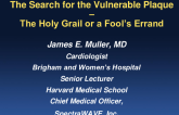 Keynote Lecture: The Thirty-Year Search for the Vulnerable Plaque — Pursuit of the Holy Grail or a Fool’s Errand?