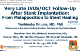 Very Late IVUS/OCT Follow-Up After Stent Implantation: From Malapposition to Stent Healing