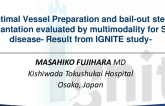 Optimal Vessel Preparation Evaluated by Multimodality Imaging: Results From IGNITE