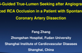 True Lumen-Seeking After Angiography-Induced RCA Occlusion in a Patient With Spontaneous Coronary Intramural Hematoma