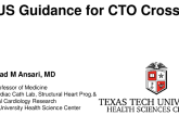 EVUS Guidance for CTO Crossing