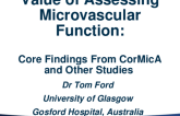 Value of Assessing Microvascular Function: Core Findings From CorMica and Other Studies