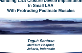 Indonesia Presents: Handling LAA Closure Device Implantation in Small LAA With Protruding Pectinate Muscles