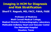 Imaging in HCM for Diagnosis and Risk Stratification