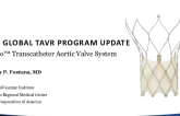 The TAVR "NEXT-Comers": Snapshots - Program Update: The PORTICO TAVR System