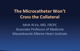 The Wire Has Crossed the Collateral, but the Microcatheter Won’t: Next Steps