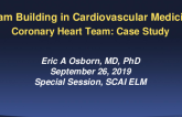 Coronary Heart Team - Presentation of Case Study