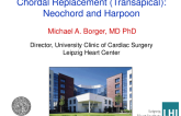 Chordal Replacement (Transapical): Neochord and Harpoon — Device Description, Results, and Ongoing Studies