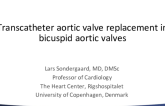 TAVR in Bicuspid Aortic Valves