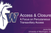 Access and Closure for Alternative Access: Focus on Percutaneous Transaxillary Approach