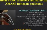 Epicardial LAAC to Reduce Atrial Fibrillation: AMAZE Rationale and Status