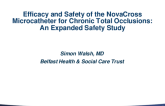 Efficacy and Safety of the Novacross Microcatheter for Chronic Total Occlusions: An Expanded Safety Study