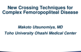 New Crossing Techniques for Complex Femoropopliteal Disease