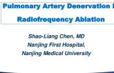 Pulmonary Artery Denervation I: Radiofrequency Ablation