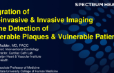Integration of Non-Invasive and Invasive Imaging for the Detection of Vulnerable Plaques and Patients