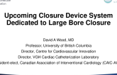 Upcoming Closure Device System Dedicated to Large-Bore Procedure