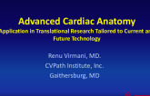 Advanced Cardiac Anatomy: Application in Translational Research Tailored to Current and Future Technology