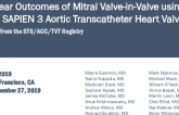 Mitral Valve-in-Valve: 1-Year Outcomes of Transcatheter Mitral Valve Replacement for Degenerated Mitral Bioprotheses