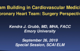 Coronary Heart Team - Coronary Heart Team: Surgery Perspective