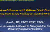 3-Vessel Disease With Diffuse Calcification