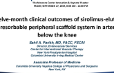12-Month Clinical Outcomes of Sirolimus-Eluting Bioresorbable Peripheral Scaffold System in Arteries Below the Knee
