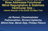External Support of the Cardiac Base Addresses Functional Mitral Regurgitation: Results of the BACE CE Mark Trial