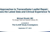 Approaches to Transcatheter Leaflet Repair: What Does the Latest Data and Clinical Experience Tell Us?