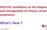Revascularization in Stable CAD: What Do the New 2019 ESC Guidelines Recommend?